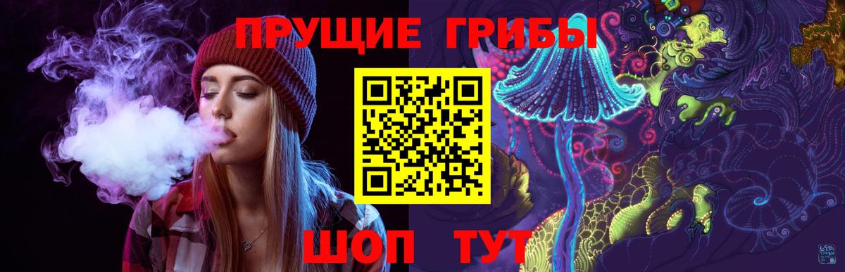 Галлюциногенные грибы Psilocybine cubensis Ртищево
