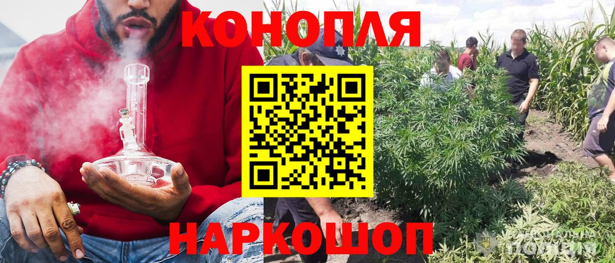 Бошки Шишки White Widow Ртищево